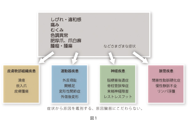 plastic_surgery001