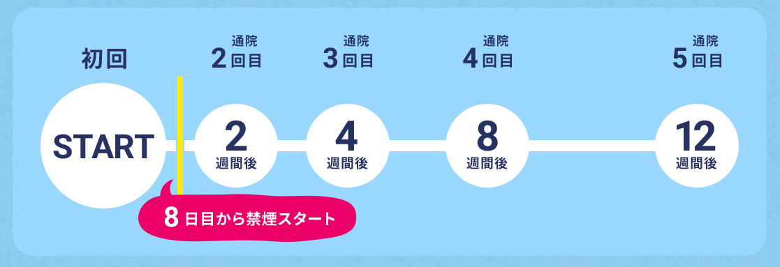 スケジュール