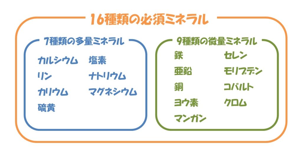 心リハブログ No.37 『ミネラルについて』 – 岐阜ハートセンター